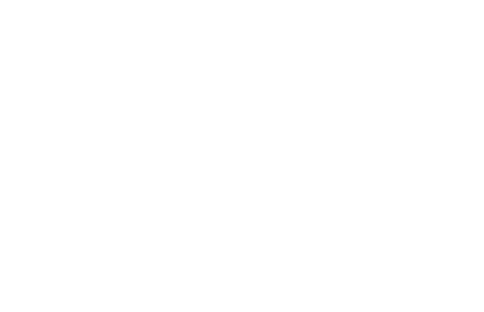 Nyvara Logo