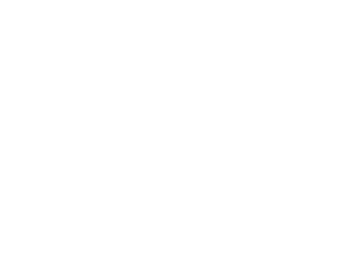 Nyvara Logo